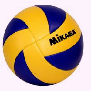 Мяч сувенирный на подставке MIKASA  BSD