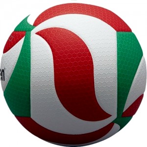 Мяч волейбольный MOLTEN   V5M5000